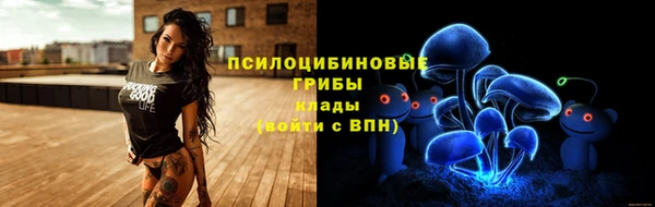молекула духа Наволоки