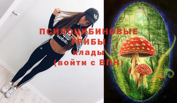 прущие грибы Арсеньев