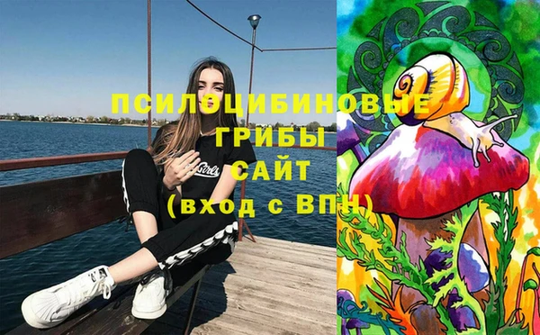прущая мука Армянск