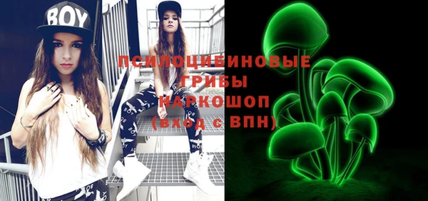 молекула духа Наволоки