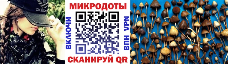 Галлюциногенные грибы Magic Shrooms  kraken рабочий сайт  Иланский  сколько стоит 